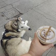 Roast - Craft Coffee & Libations restaurant view 2