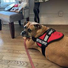 The 505 Coffee House restaurant view 2