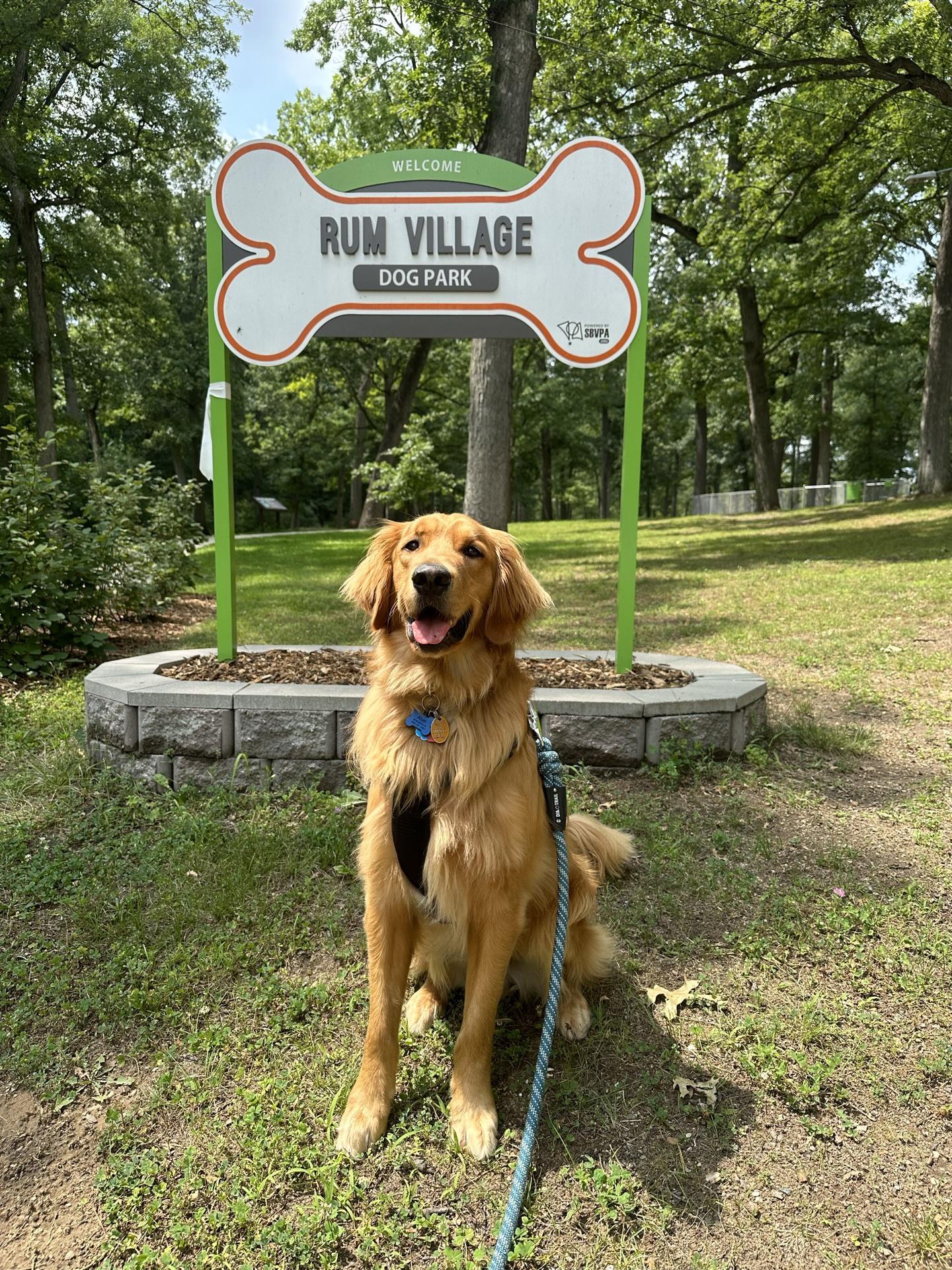 Pet Friendly Rum Village Dog Park