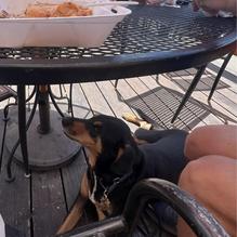 Tacos La Mina restaurant view 1