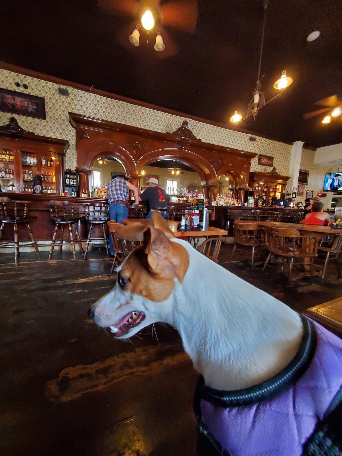 Crystal Palace Saloon restaurant view 2