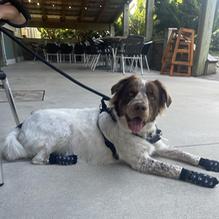 Pangea Tavern restaurant view 1