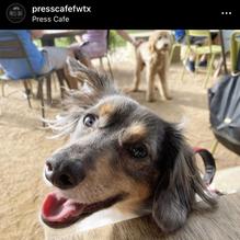 Press Cafe restaurant view 2