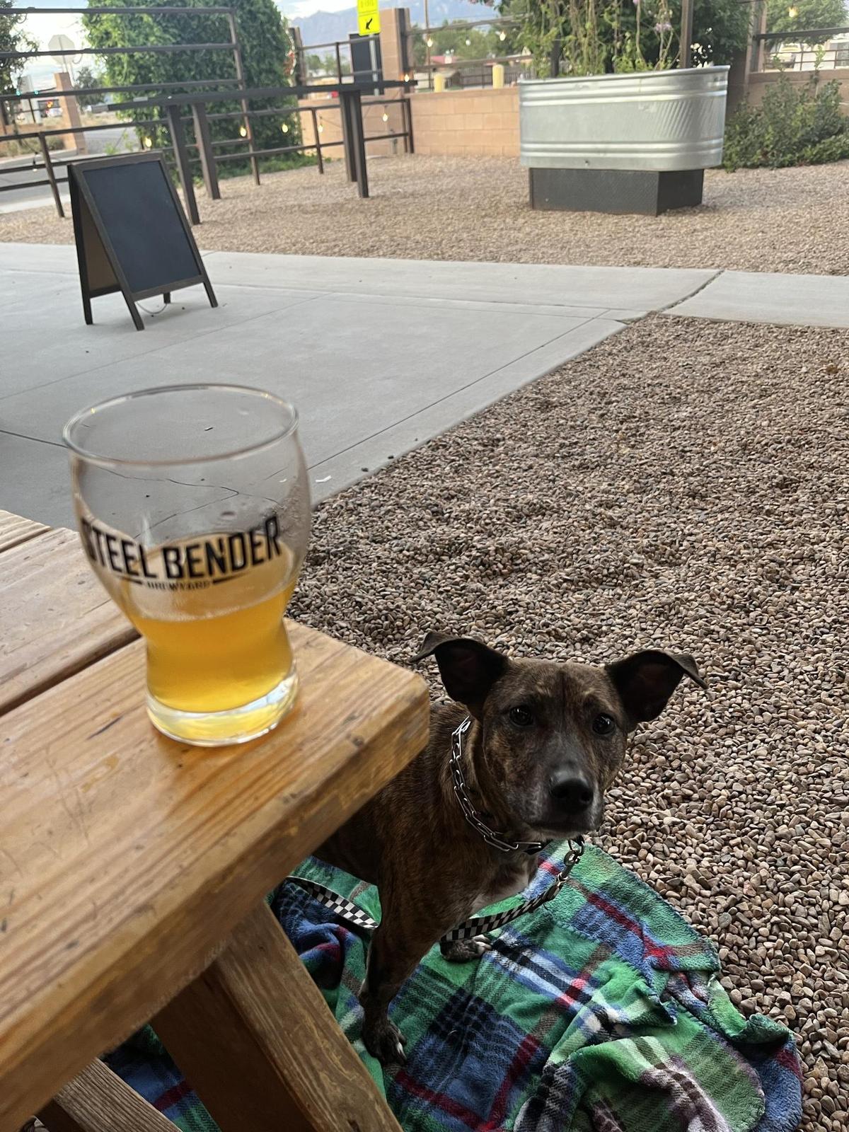 Steel Bender Brewyard restaurant view 1