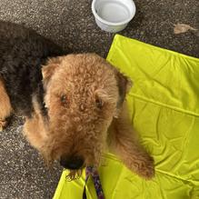 Loco Coco's Tacos restaurant view 1