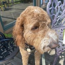 The Upper Crust restaurant view 1