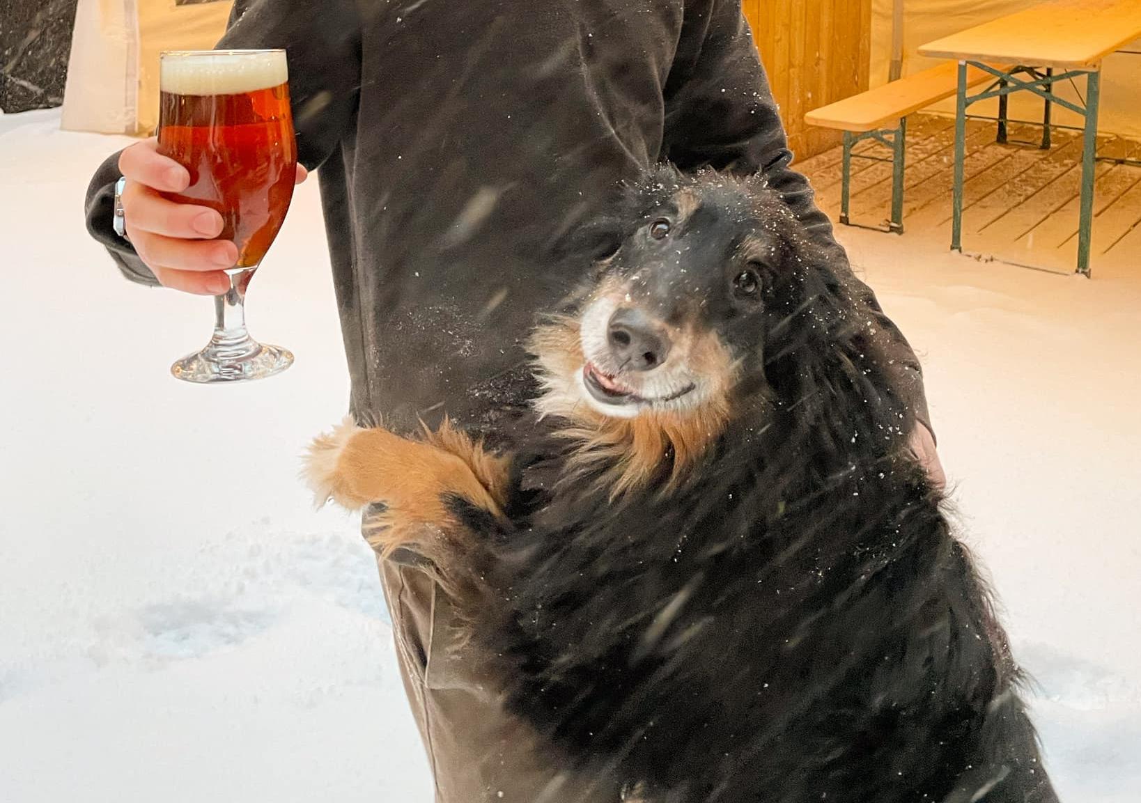 Pet Friendly The Oxford Taproom