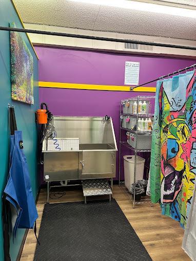 Self serve dog wash tubs near me discount