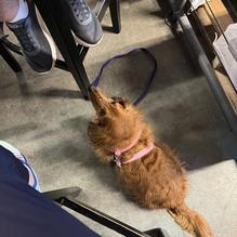 Chaos Brewing restaurant view 2