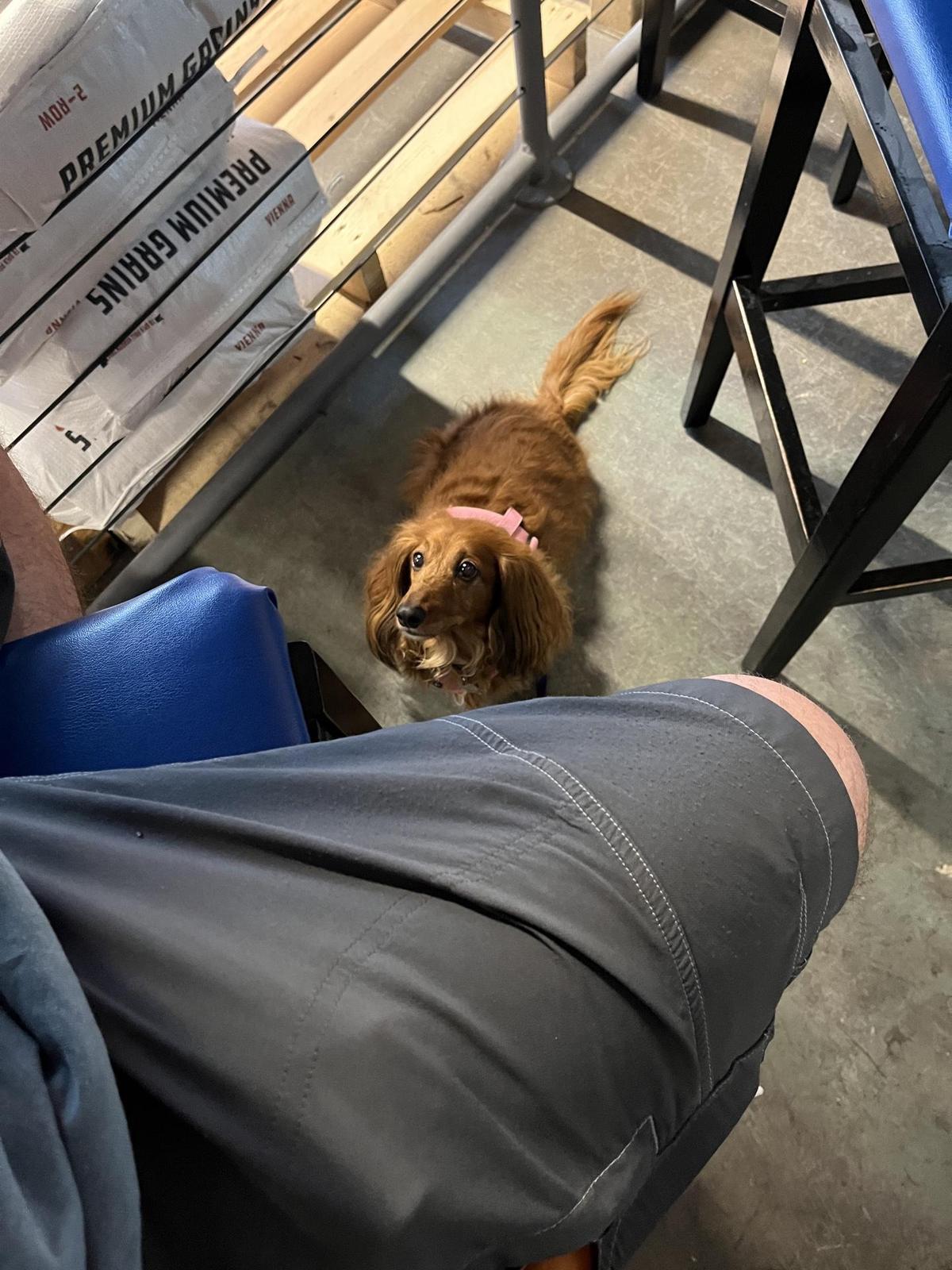 Chaos Brewing restaurant view 1