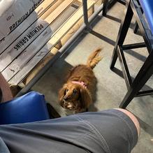 Chaos Brewing restaurant view 1