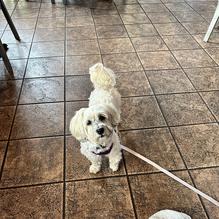 Tun Tavern Restaurant & Brewery restaurant view 1