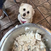 Tun Tavern Restaurant & Brewery restaurant view 3