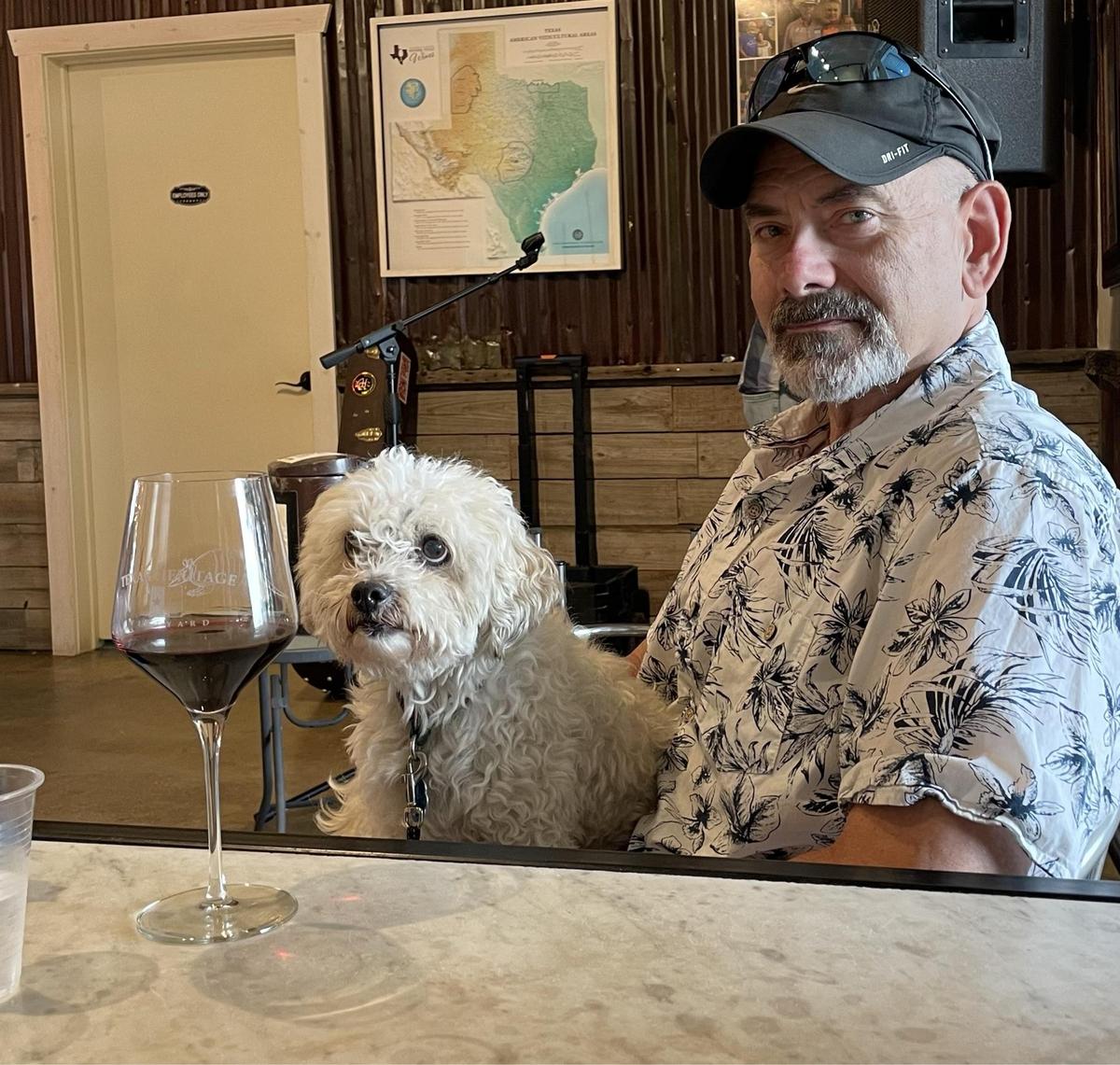 Texas Wine Collective restaurant view 3