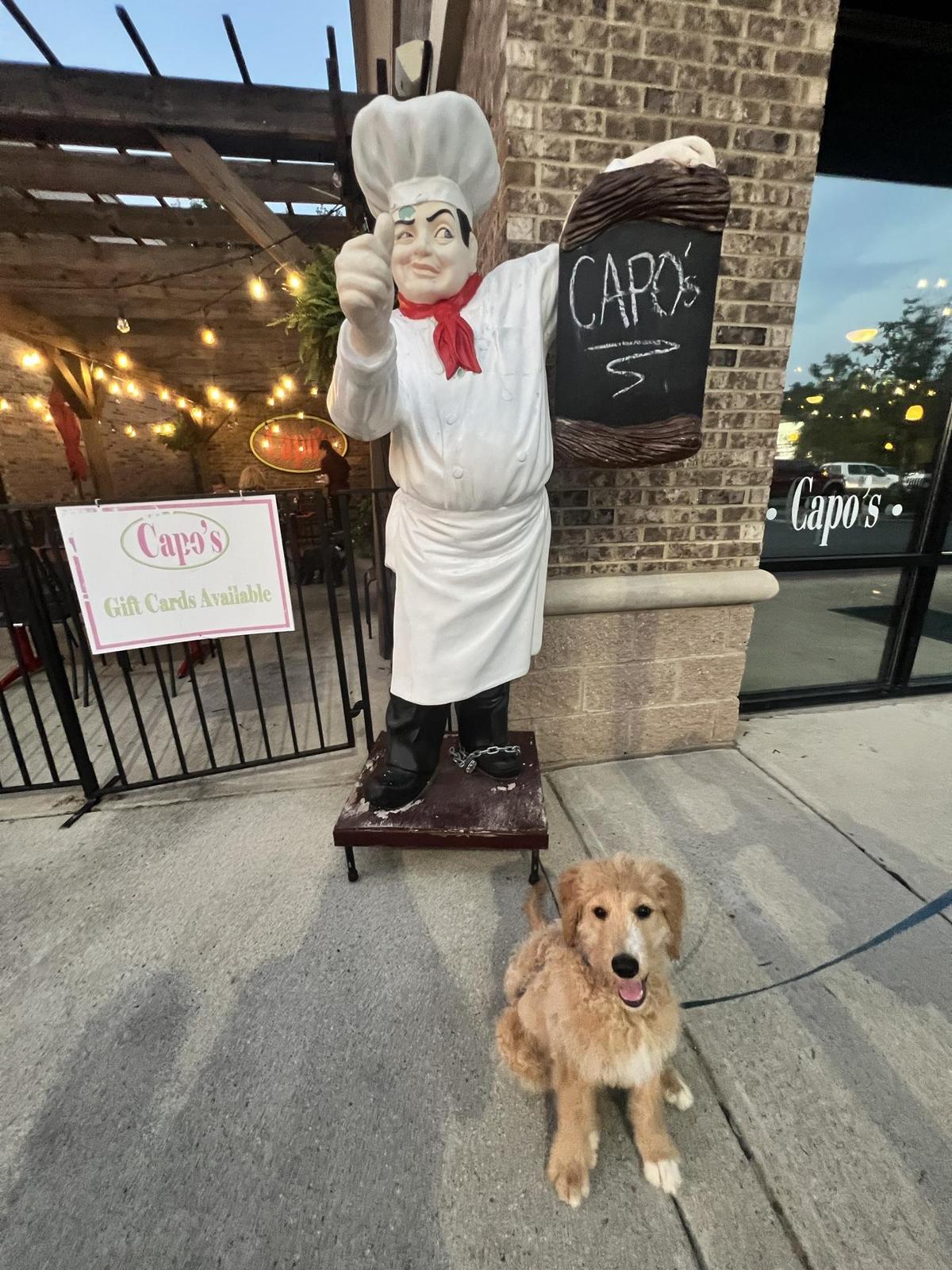 Capo's NY Pizza & Italian Ristorante restaurant view 1