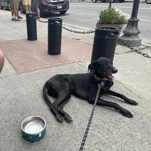 State Lunch restaurant view 1