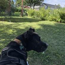 Cafe Regis restaurant view 2