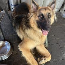 Thirsty Barrel Taphouse & Grille restaurant view 1