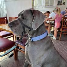 CherrySTONES restaurant view 2