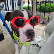 State Fare restaurant view 1