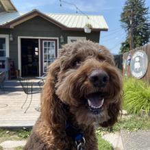 Piggyback BBQ restaurant view 3