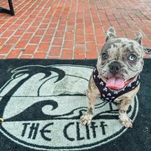 The Cliff restaurant view 2