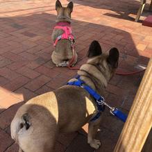 Lobster Cooker restaurant view 1