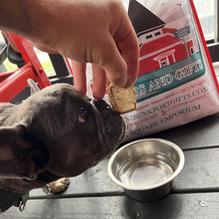 Batson River Brewing & Distilling - Kennebunk restaurant view 1