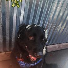 Cunningham's Journal On the Lake restaurant view 1