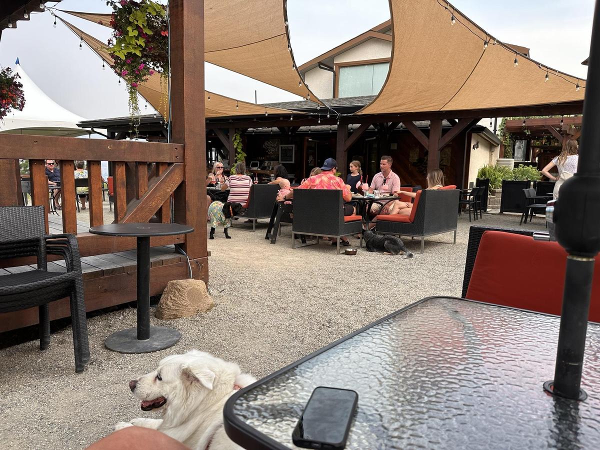 Blind Tiger Vineyards restaurant view 1