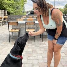 Initiative Brewing restaurant view 1