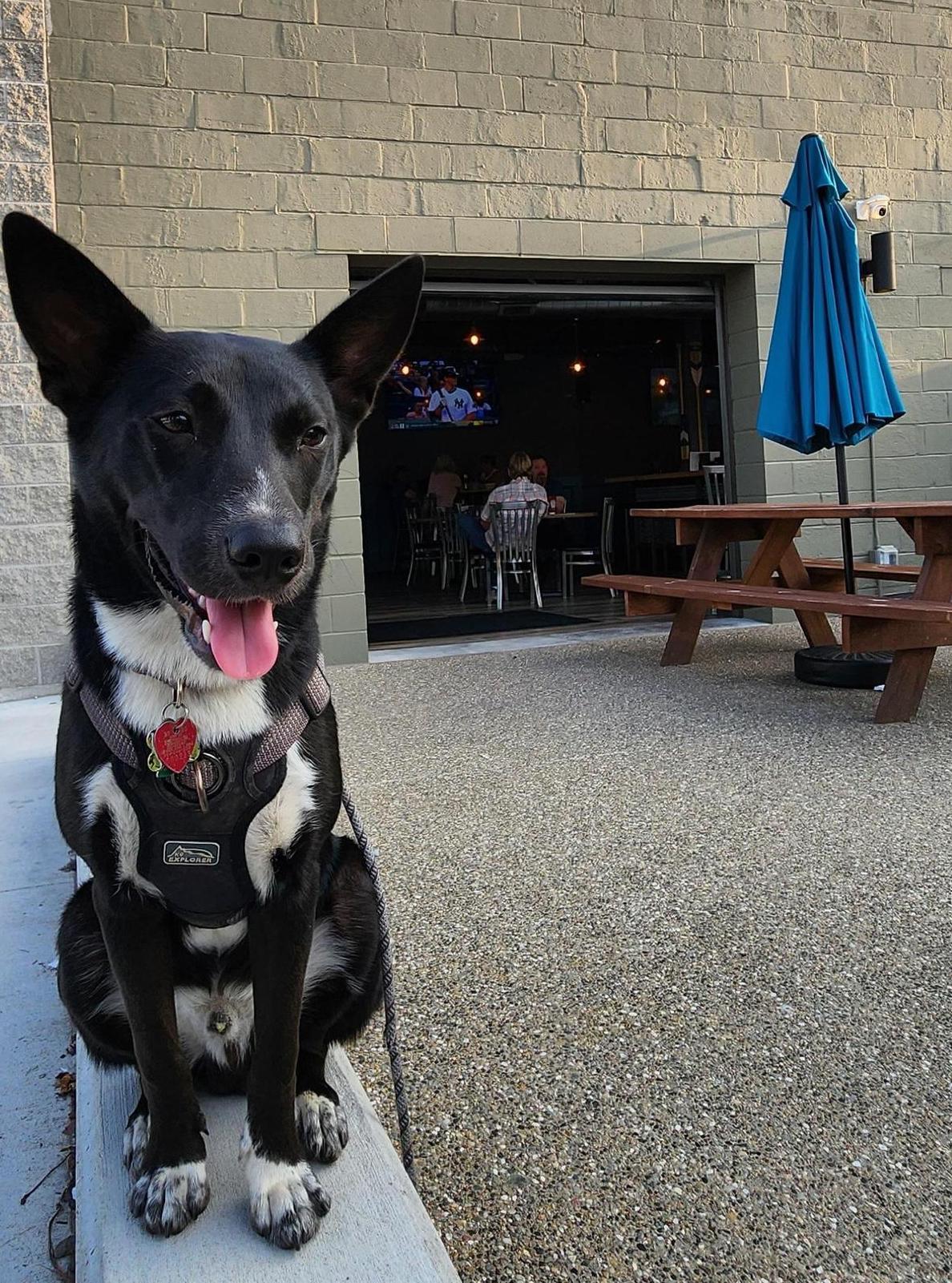 RiverTown Tavern restaurant view 3