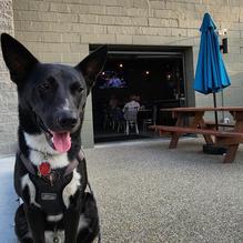 RiverTown Tavern restaurant view 3