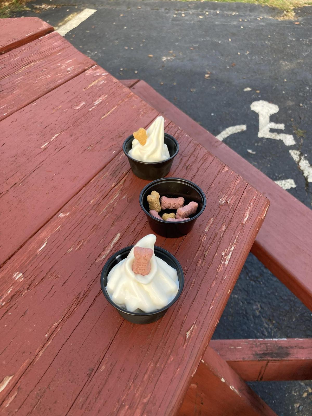 Bob's Sub & Cone Family Restaurant restaurant view 1