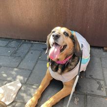 Provincetown Brewing Co. restaurant view 2