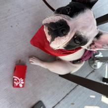 Chick-fil-A restaurant view 1