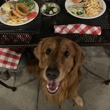 Ted's Montana Grill restaurant view 2