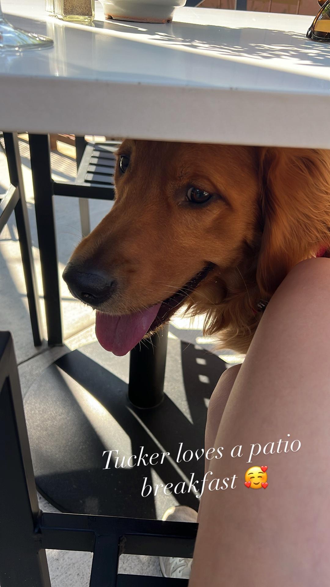 Garden of the Gods Market and Cafe restaurant view 1
