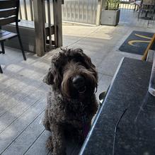 R Bar & Grill restaurant view 2