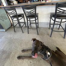 Governor Bradford Restaurant restaurant view 1