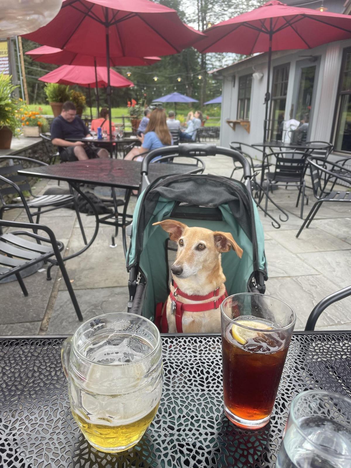 American Flatbread restaurant view 1