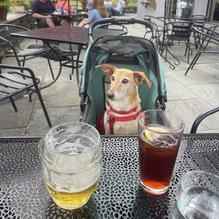 American Flatbread restaurant view 1