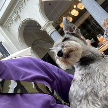 The Guild restaurant view 1