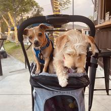 Mission Ave Bar and Grill restaurant view 1