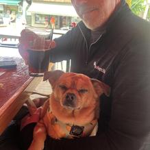 CherrySTONES restaurant view 1