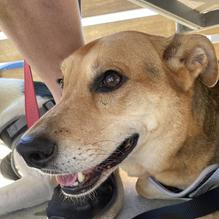 First Watch restaurant view 1