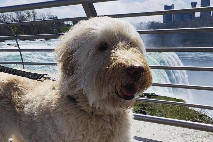 This photo was taken at Niagara Falls State Park in Niagara Falls, NY.