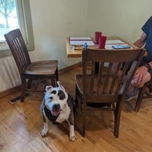 Catskill Mountain Pizza Company restaurant view 2