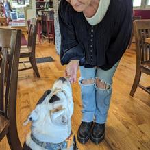 Catskill Mountain Pizza Company restaurant view 1