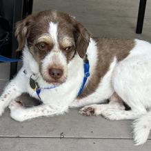 The Asylum restaurant view 2